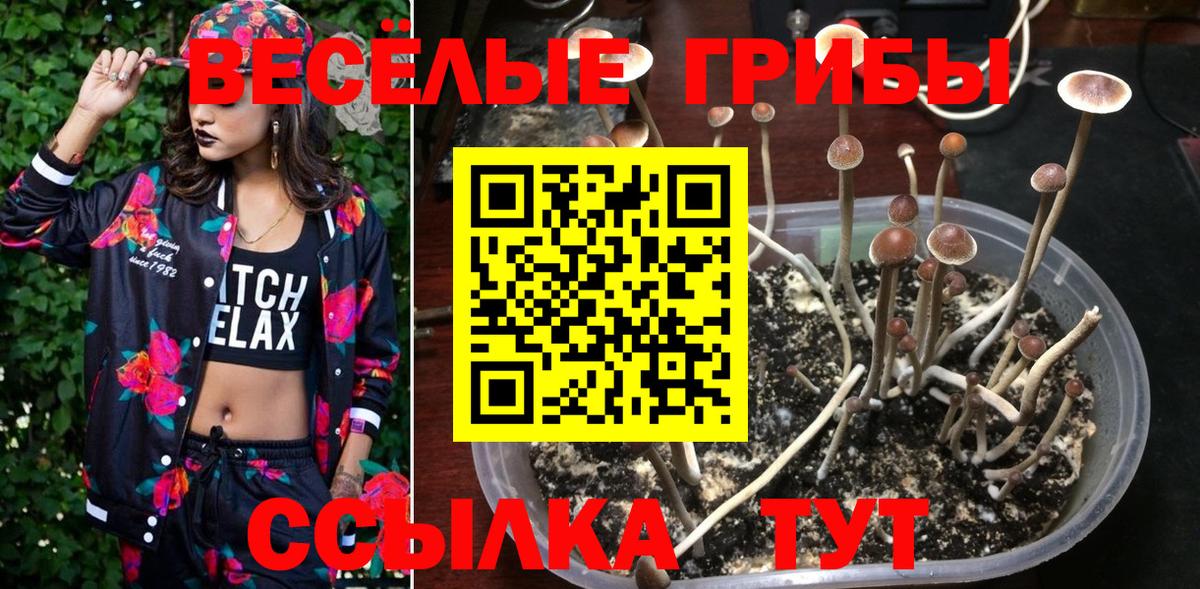 Галлюциногенные грибы ЛСД Брянск