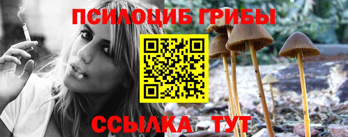Галлюциногенные грибы Magic Shrooms  Вход с VPN  Брянск 