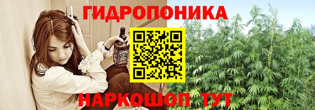 Бошки Шишки гибрид Брянск